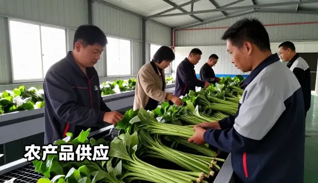 生态蔬菜成为农产品供应升级新选择
